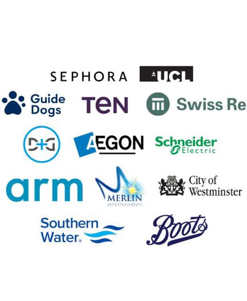 Sullivan &amp; Stanley Leaders in Transformation LiT Community company logos